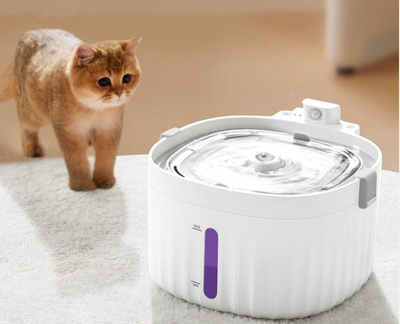 Are wireless cat water fountains safe for cats?