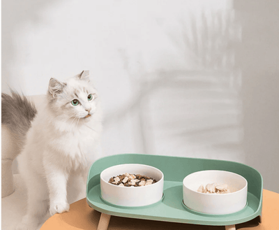 Why Your Cat Needs a Double Cat Bowl