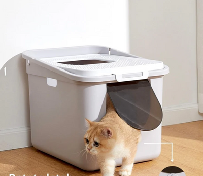 Do Enclosed Cat Litter Boxes Smell More?