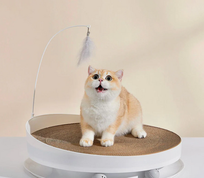 Are Cat Scratchers Good for Cats?