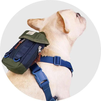 Dog Harness