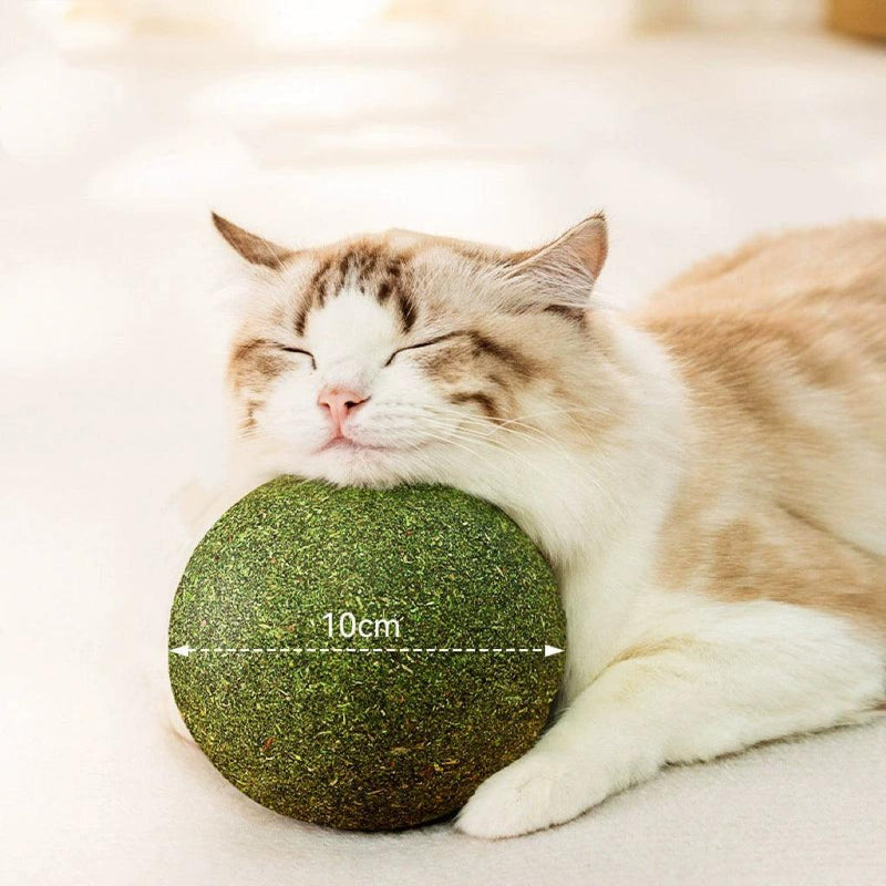 Pet Besty Jumbo Catnip Ball Teeth Cleaning Toy for Cats