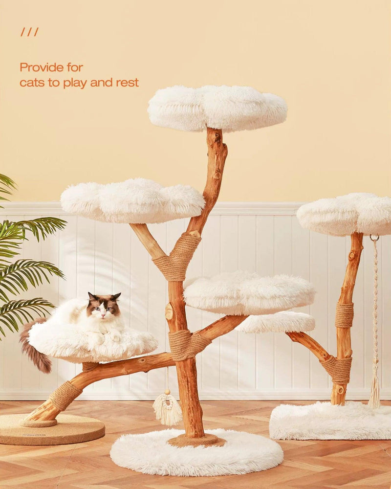 Premium Solid Wood Cat Tree, Natural Fruitwood