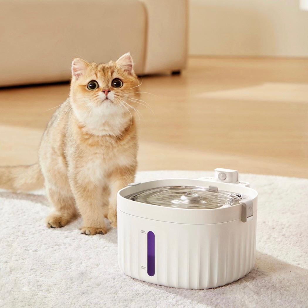 Wireless Stainless Steel Cat Water Fountain PETBESTY